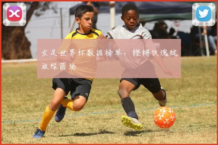 女足世界杯数据榜单，铿锵玫瑰绽放绿茵场