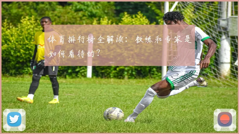 体育排行榜全解读：教练和专家是如何看待的？