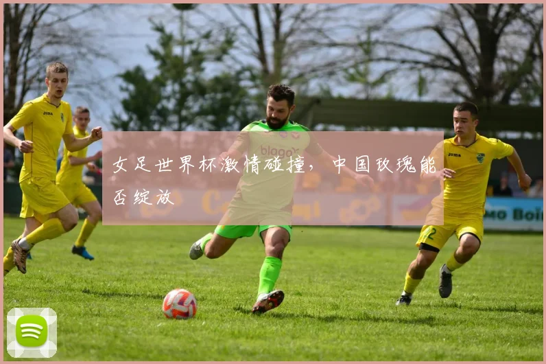 女足世界杯激情碰撞，中国玫瑰能否绽放