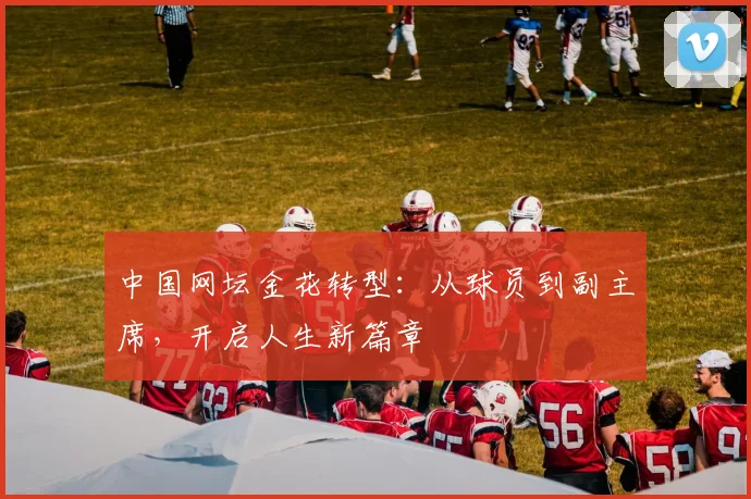 中国网坛金花转型：从球员到副主席，开启人生新篇章