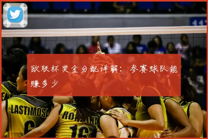 欧联杯奖金分配详解：参赛球队能赚多少