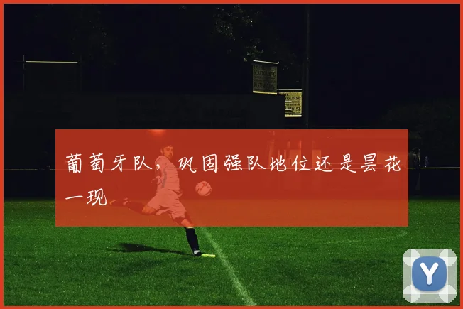 葡萄牙队，巩固强队地位还是昙花一现