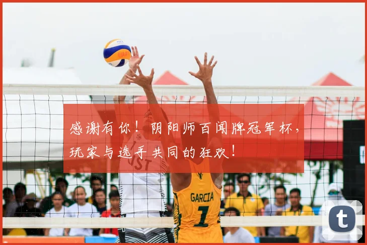 感谢有你！阴阳师百闻牌冠军杯，玩家与选手共同的狂欢！