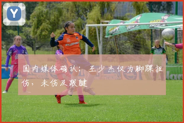 国内媒体确认：王少杰仅为脚踝扭伤，未伤及跟腱