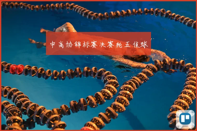 中高协锦标赛决赛轮五佳球