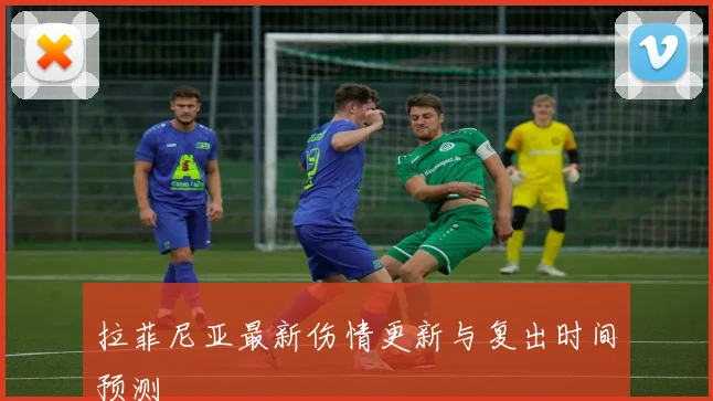 拉菲尼亚最新伤情更新与复出时间预测