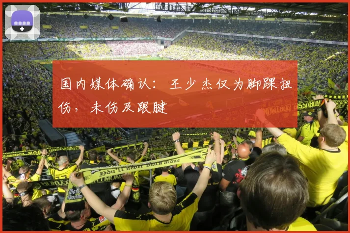 国内媒体确认：王少杰仅为脚踝扭伤，未伤及跟腱